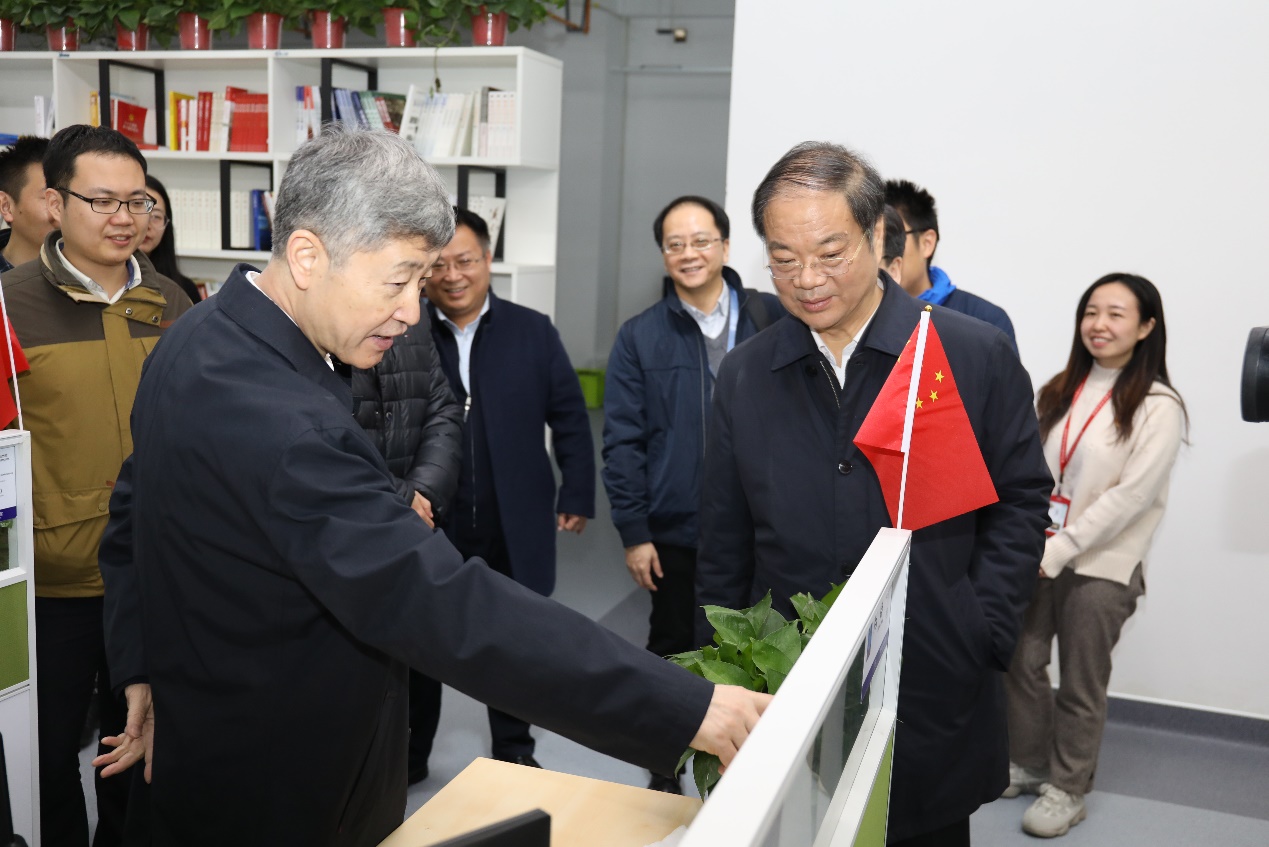 点击查看大图